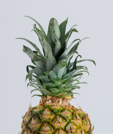 Ananas